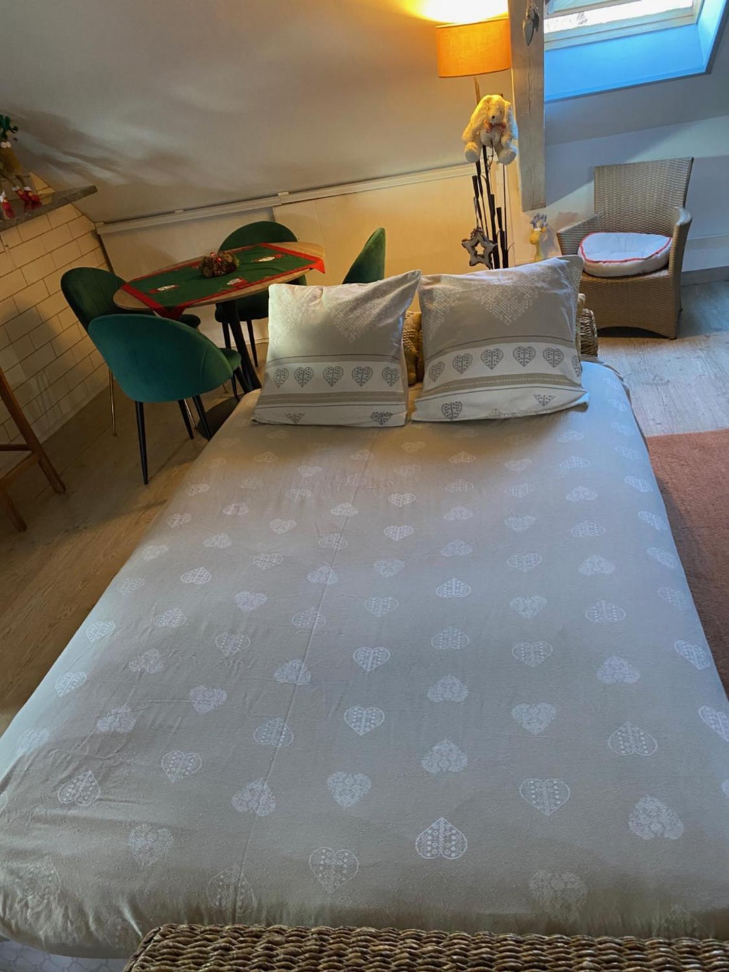 Duplex Spacieux Tout Confort Mulhouse Extérieur photo